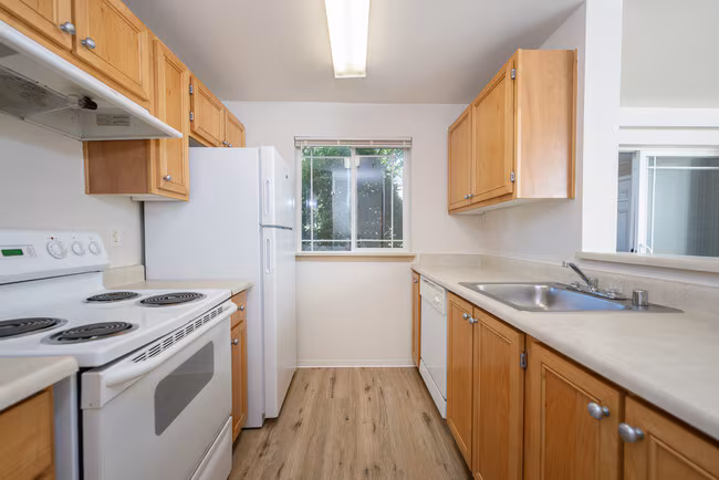 One Bedroom Efficiency G077 floor plan